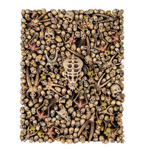 Load image into Gallery viewer, CITADEL SKULLS