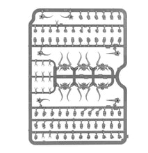 Load image into Gallery viewer, CITADEL SKULLS