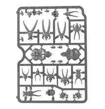 Load image into Gallery viewer, CITADEL SKULLS